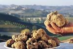 TARTUFO