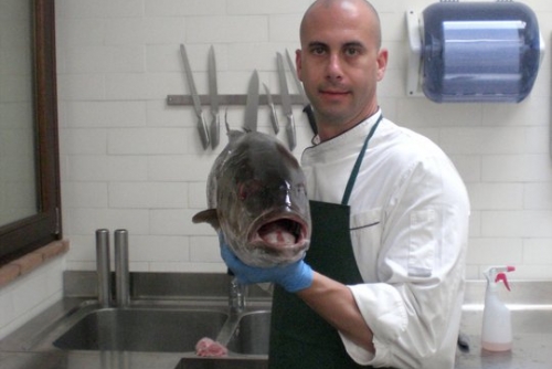 SCUOLA DI CUCINA PER APPASSIONATI A RIMINI