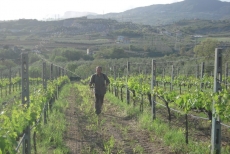 Biodivino 2012: i premi alle aziende Vignaviva