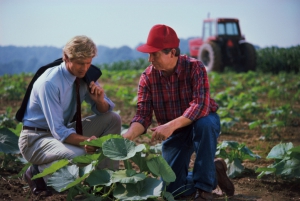 Agronomi e responsabilità oggettiva: le polizze “green”