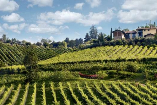 Cantine aperte per degustare Moscato di Scanzo e Valcalepio