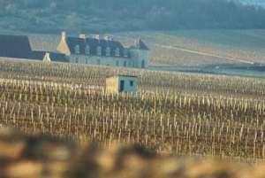 Martedì 10/2/2015 ~ La Borgogna comune per comune: Vosne-Romanée