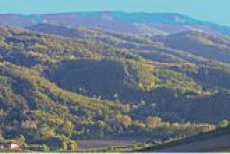 Febbraio con il MEC sulla Strada delle Abbazie