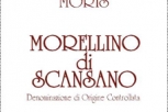 Morellino di Scansano principe di Maremma