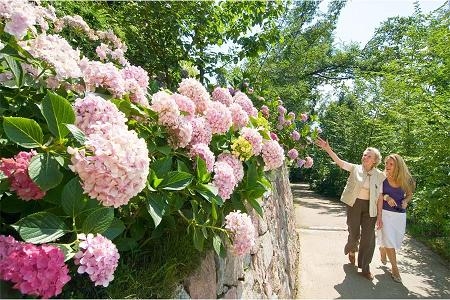 L&#039;ESTATE E’ UNA STAGIONE DI GRANDI EVENTI AI GIARDINI DI SISSI A CASTEL TRAUTTMANSDORFF MERANO