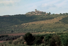 E&#039; quasi tutto pronto per dare il via alla grande vendemmia dell&#039;Azienda Agricola Il Ponte