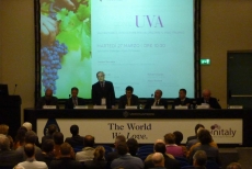 CONSUNTIVO CONVEGNO VINITALY: IL VINO SI FA CON L&#039;UVA