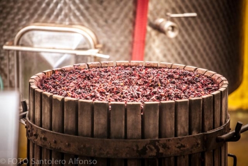 VINI E SAPORI DAL MEDITERRANEO AL VINITALY