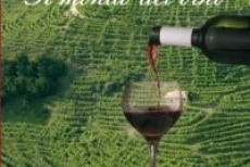 Esce il libro IL MONDO DEL VINO