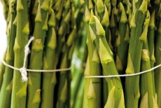 Lasagnette agli asparagi