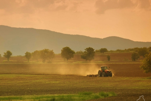 TASTE, TUTTO IL BUONO DEL PIEMONTE A CASA TUA